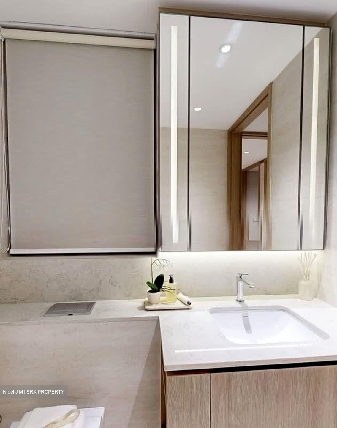 Hudson Place Residences (U/C) (D5), Apartment #550041831